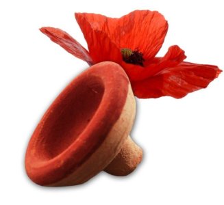 Rouge à lèvres /blush traditionnel